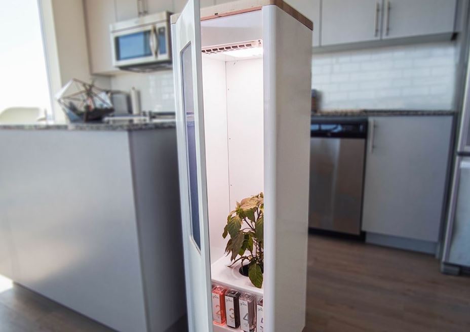 Grobo One is a WiFi-enabled cabinet that let you grow plant indoors