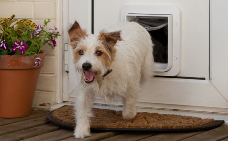 This smart pet door can be controlled with an app