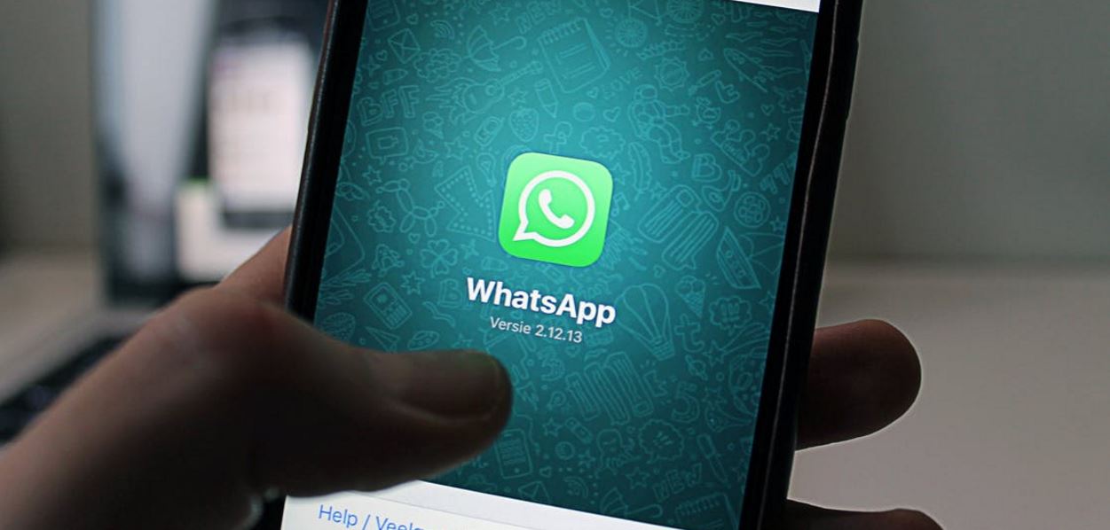 Now, share any type of file on WhatsApp