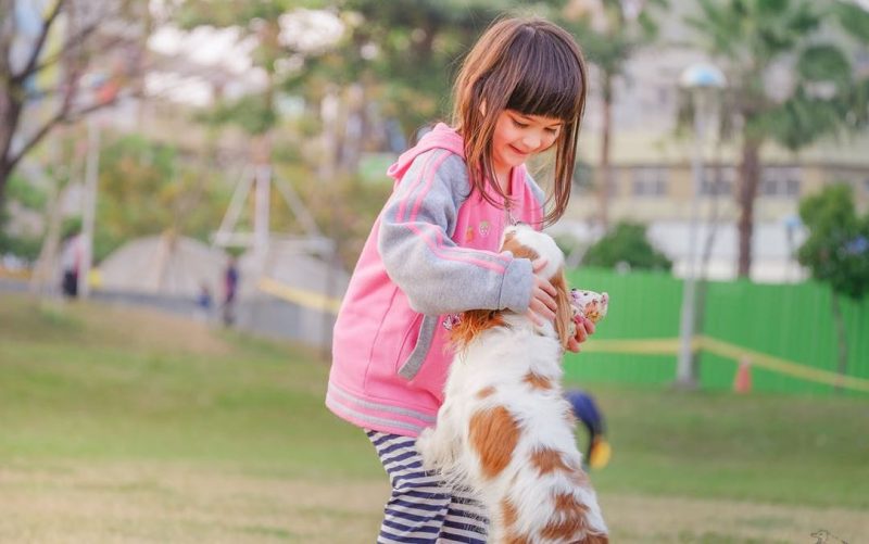 Study debunks belief that having pets will positively affect children’s health