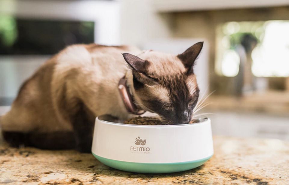 PetMio is a smart tracker that can create organic recipes for pets