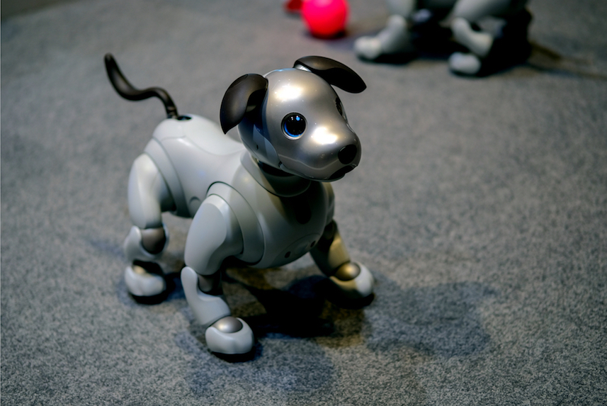 Sony Teaches Old Dog New Tricks With Relaunch Of Robotic Pup Aibo